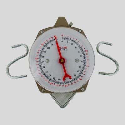 Pointer scale 50 kg, Division 200 grams