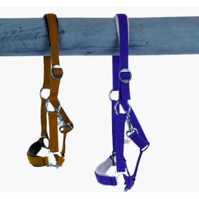 Strap Halter white background, size: whole blood