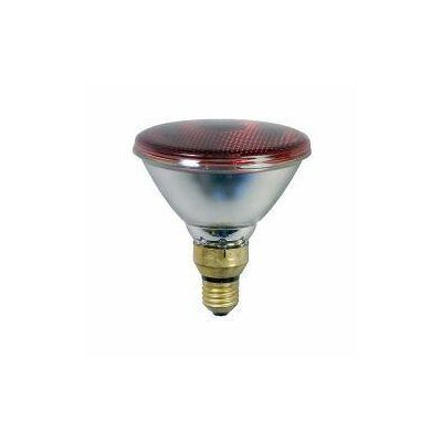 Infrared energy-efficient bulp 100 Watts, Eider