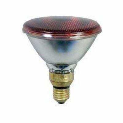 Infrared energy-saving lamp 175 Watt, Eider