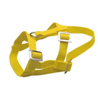 Head Halters for sheep, nylon