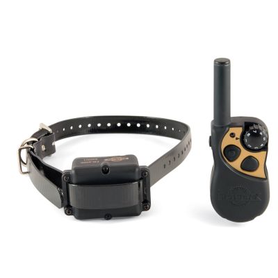 Dog trainer up to 250m