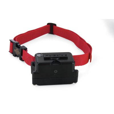 PetSafe extra receiver collar for stubborn dogs - PIG19-10763