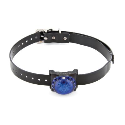 Sport dog tracking light blue SDLB-BL-E