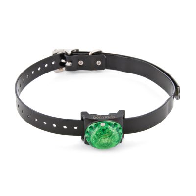 Locating lamp green sport dog SDLB-GR-E