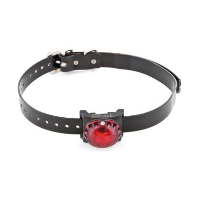 Sport dog locating lamp red - SDLB-TS-E