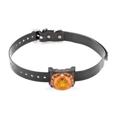 Sport dog tracking light orange - SDLB-YL-E