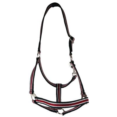 Belt Holster size: whole blood, adjustable