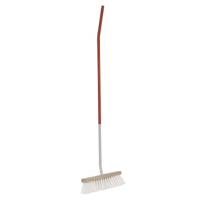 Water broom white bristles