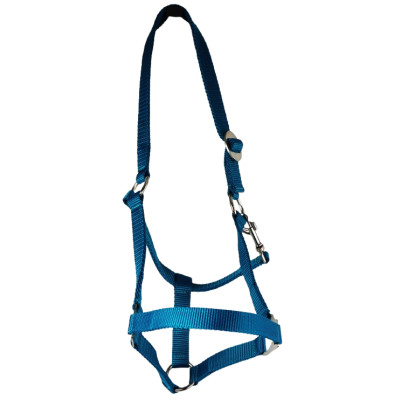 Belt Holster, size: Warmblood, adjustable