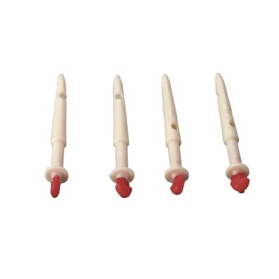 Teat cannula 5 cm, 10 pieces Pack
