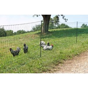 Poultry power green, electrically conductive 25 m / 112 cm twin tip