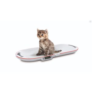 Small animal scale "Easy" 15kg maximum load - foldable small animal scale for mobile use