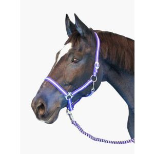 Nylon Halter hippo, size: Warmblood, various colors