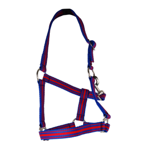 Belt Holster, size: Pony, adjustable