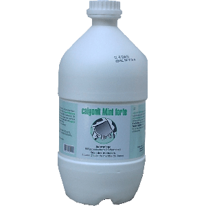 calgonit Mint forte 2500 ml