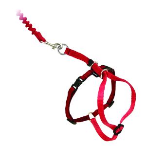 Easy™ walk 23-28 cm cat harness and leash, Red