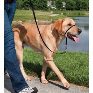 Easy walk™ head line 27 kg - 59 kg