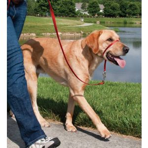 Easy walk™ head line 27 kg - 59 kg