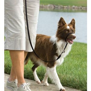 Easy walk™ head line 11 kg - 27 kg