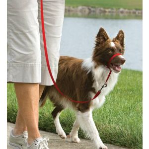 Easy walk™ head line 11 kg - 27 kg