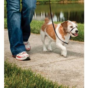 Easy walk™ head line up to 11 kg
