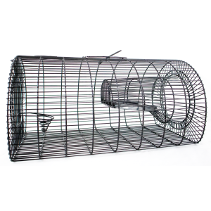 Mass trap rats, MultiRat, trap
