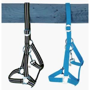 Belt Holster, size: Foals, adjustable,. Colors