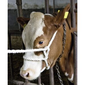 Halter poly Double swivel