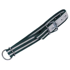 Green/white collar 130 x 4 cm, roller buckle, oval link, D-ring