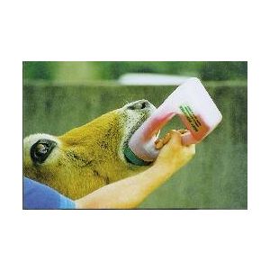 EASY drencher