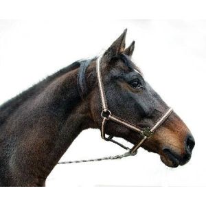 Nylon Halter hippo, size: Foals/mini Shetland, various colors