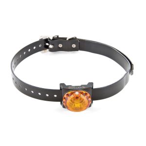 Sport dog tracking light orange - SDLB-YL-E