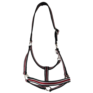 Belt Holster size: whole blood, adjustable