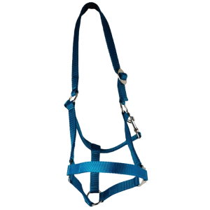 Belt Holster, size: Warmblood, adjustable
