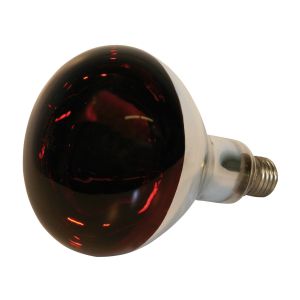 Infrared bulb 250 Watt, Eider