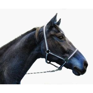 Nylon Halter Hippo size: whole blood, various colors
