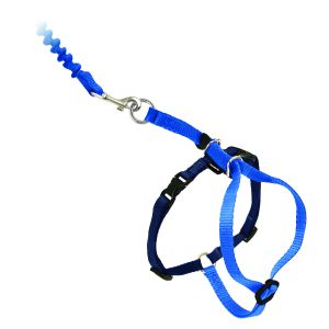 Easy™ walk 23-28 cm cat harness and leash, blue