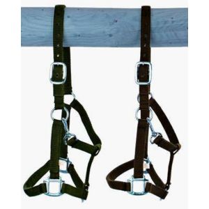 Belt Holster, size: Warmblood, extra strong with buckle