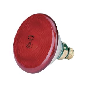 Infrared Bulp Philips 100 W Red