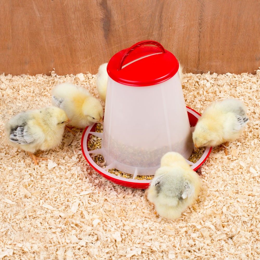 Chick Feeder and Waterer Kit Hanging Poultry Feeder Germany