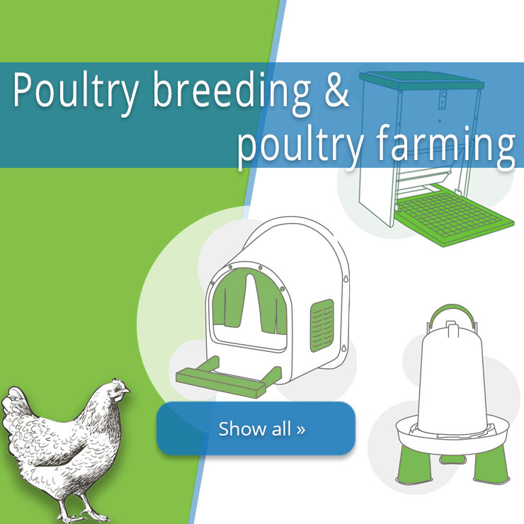 Everything for poultry farming
